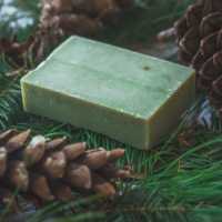 Evergreen Soap