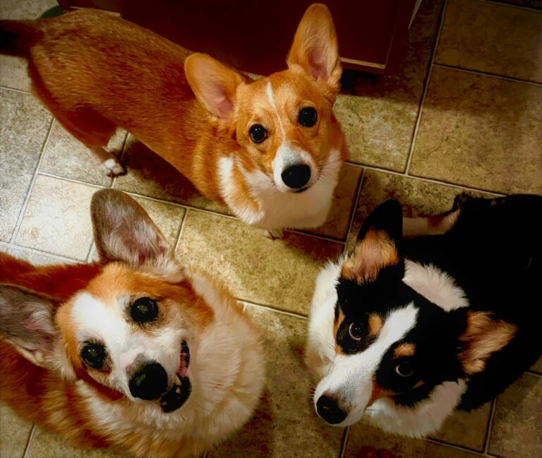 Quality Control Team!